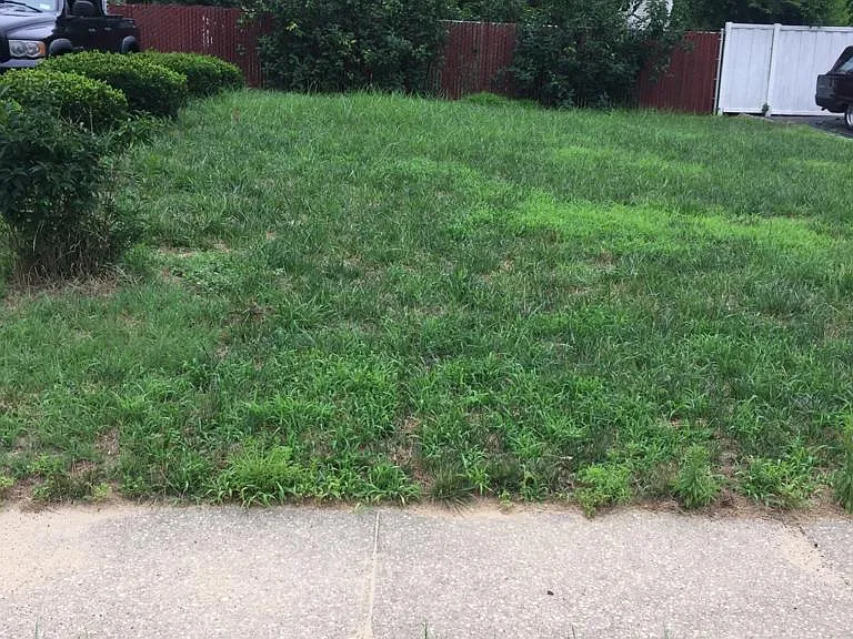 62 Western Dr — Photo 30