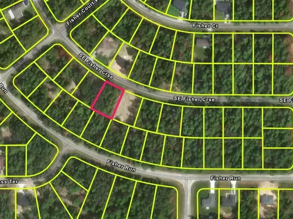 Fisher Crse Lot 4, Ocklawaha, FL 32179