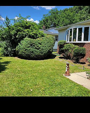 Side front view lawn