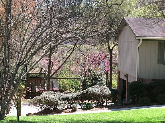 3rd image of 3398 Larch Pine Dr