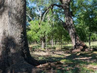 0 County Road 321, Bertram, TX, 78605