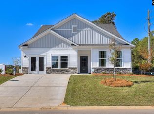 342 Chapin Place Way, Chapin, SC 29036