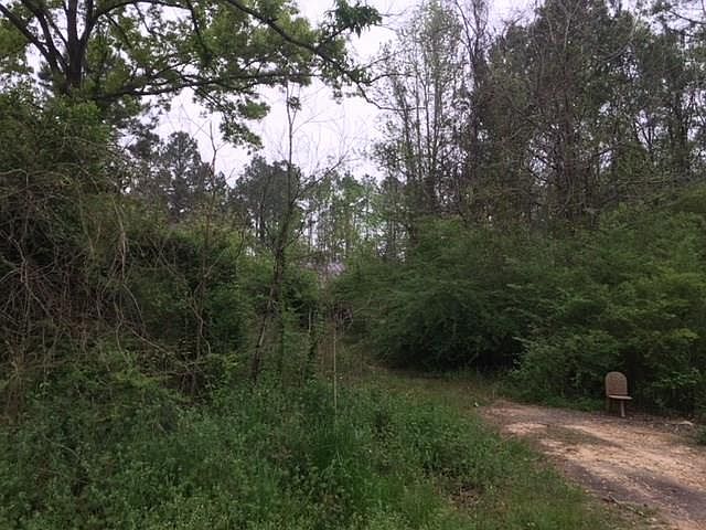 2nd image of 2250 Evergreen Dr