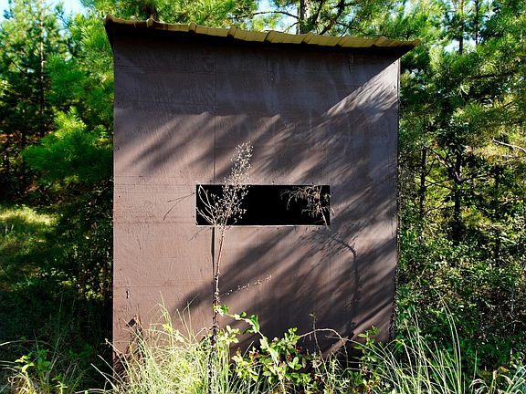 5th image of 1 Ables Rd