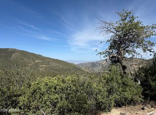00 E Mountian View Road #-, Crown King, AZ 86343