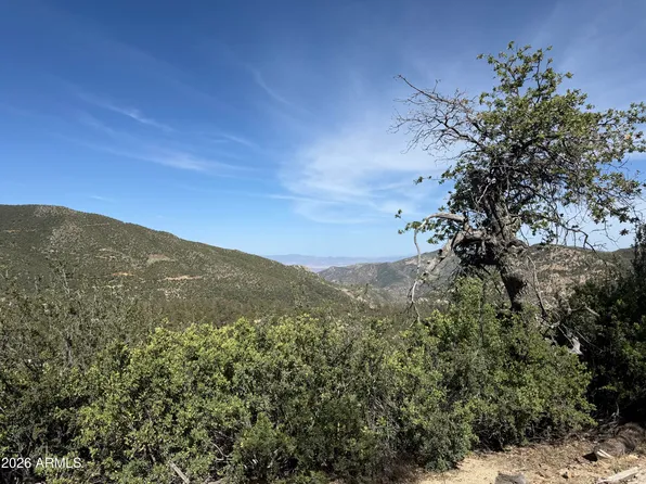 00 E Mountian View Road #-, Crown King, AZ 86343