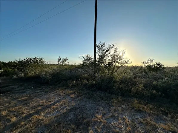 00 Laurell Dr, Sandia, TX 78383
