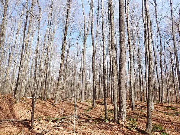 00 Eastham Road, Shrewsbury, VT 05738