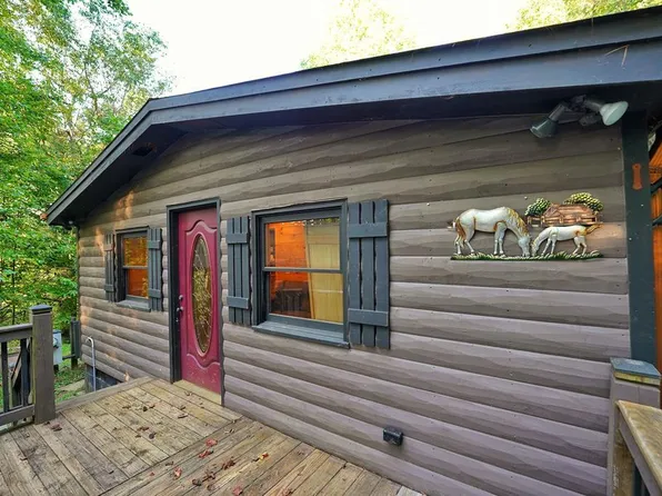 192 Bushy Head Rd, Cherry Log, GA 30522