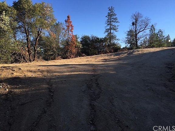 Lower clearing at top of driveway.