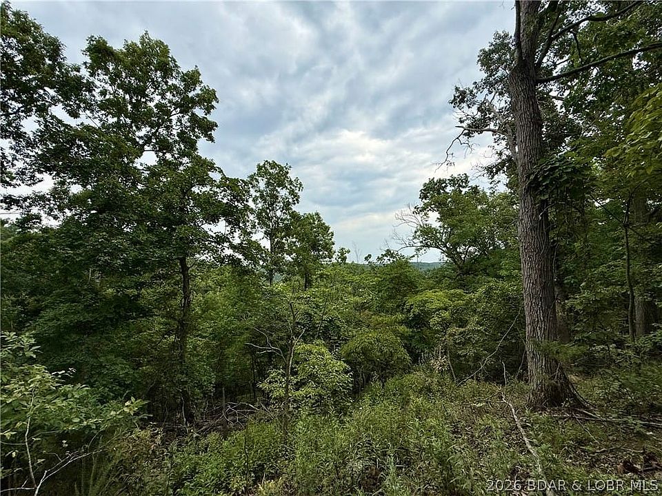 1st image of Lots 53 & 54 Ozark Hills 10