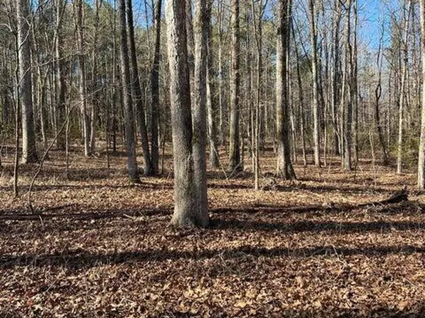152 Mallie Dr, Forsyth, GA 31029