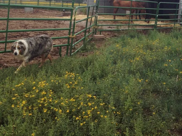 2244 Parkinson Rd, Lakeside, AZ 85929