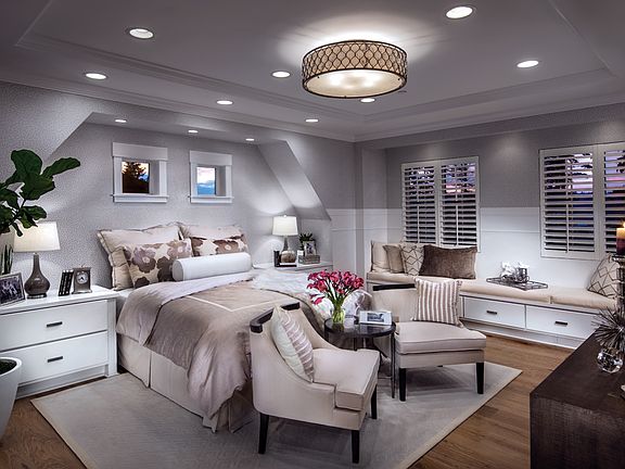 Primary bedroom suite with tray ceiling