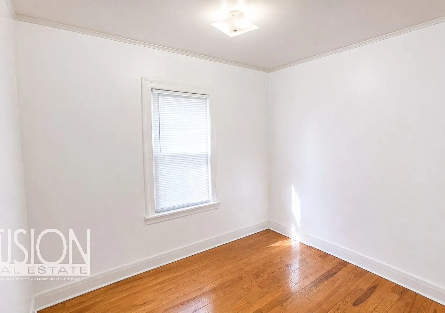 21-25 Elmwood Avenue — Photo 4