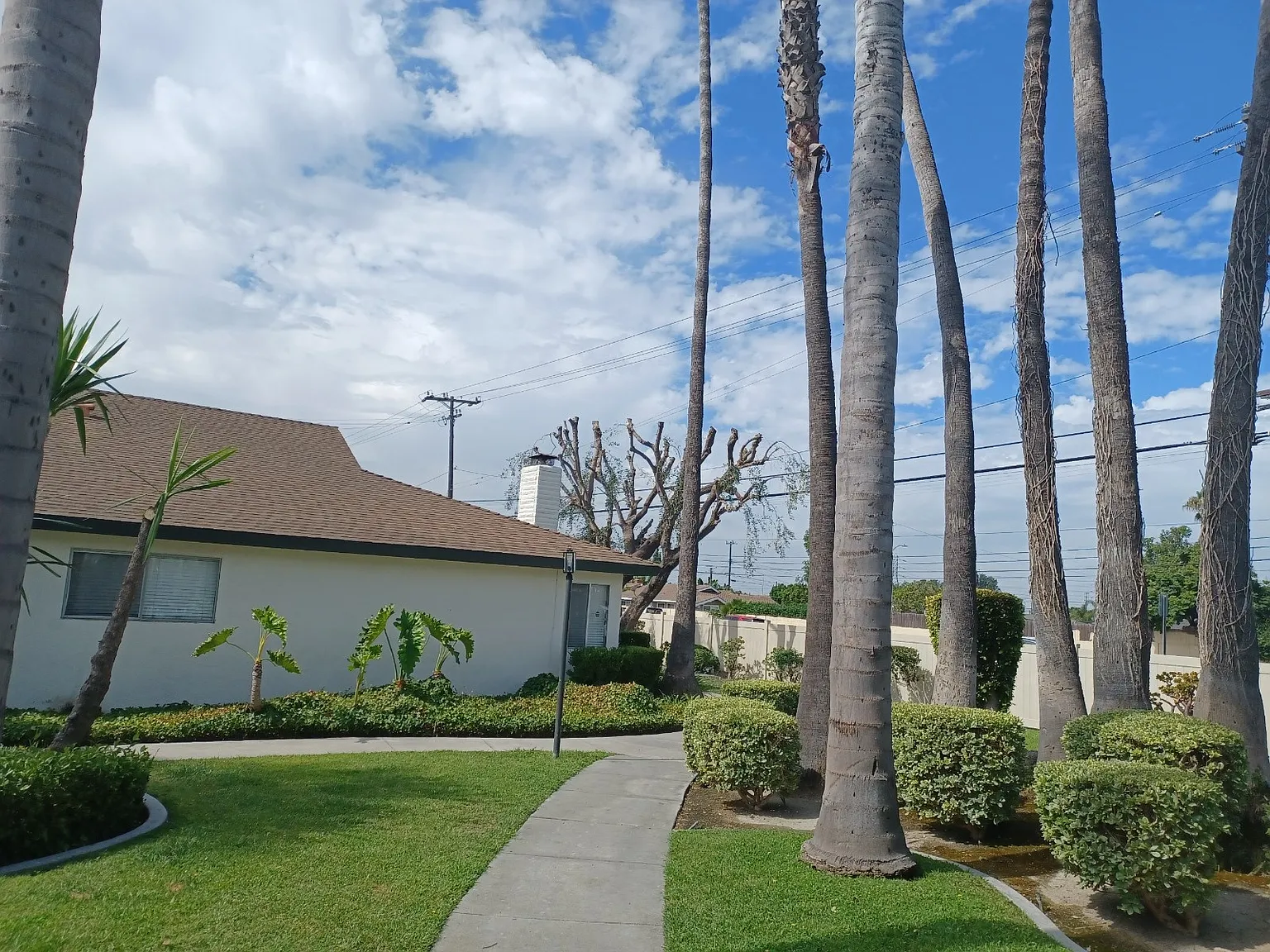 Magnolia Garden Apartments — Photo 2