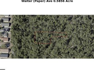 Walter Paper Ave LOT 7, Lake Helen, FL 32744