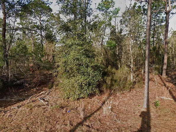 LOT 23 Tulip Ave, Interlachen, FL 32148