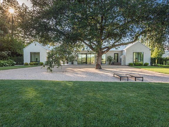 Rear garden anchored with oak tree