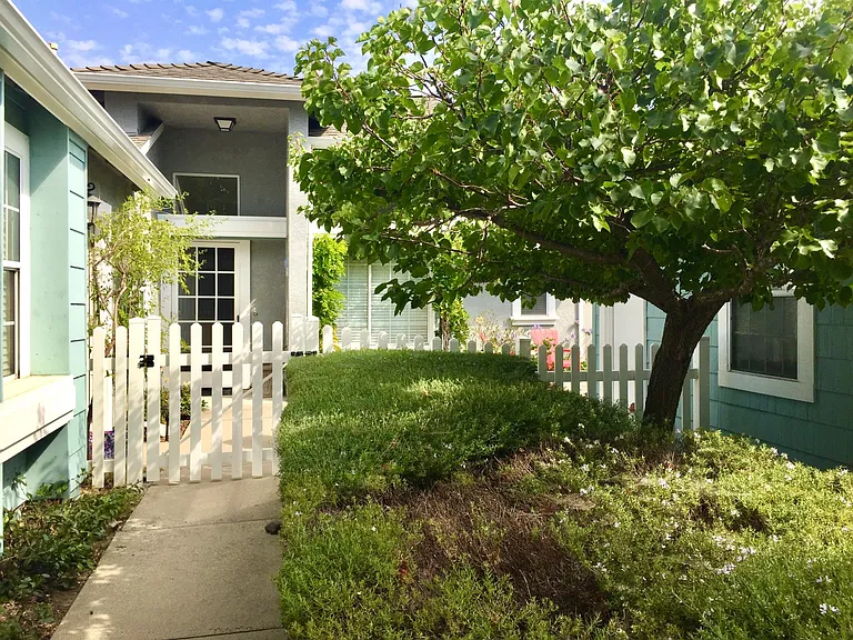 911 Bluebell Way — Photo 9