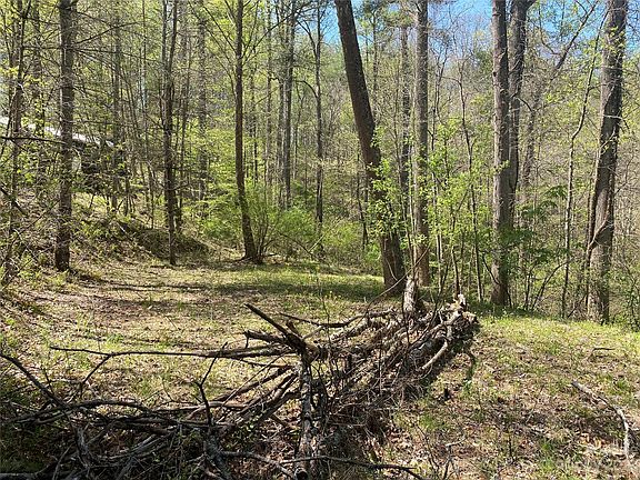 5th image of LOT 3 Cabin Hill Trl