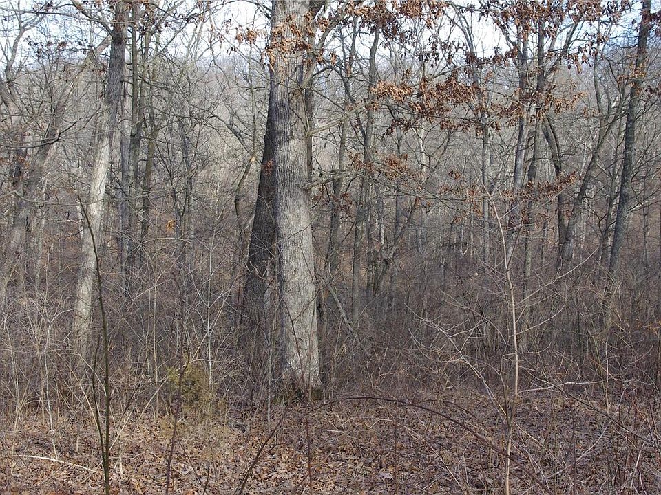 1st image of 60 Sandy Woods Dr