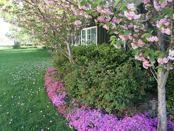 Beautiful landscaping