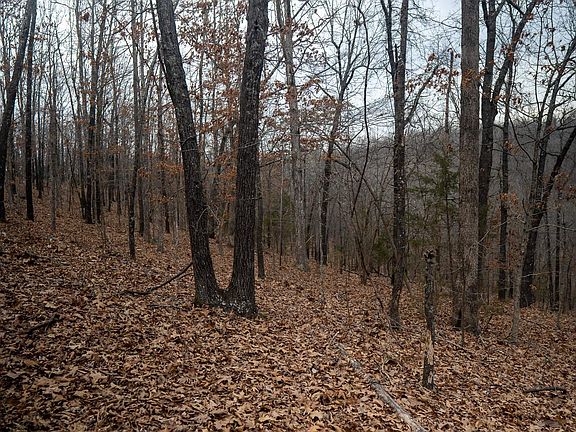 5th image of 0 Nubbin Ridge Rd