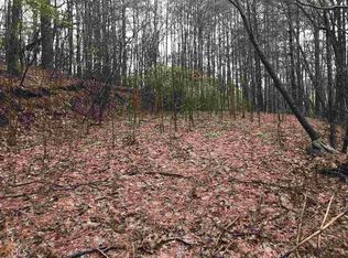 2 2 & 3 Turniptown, Ellijay, GA 30536