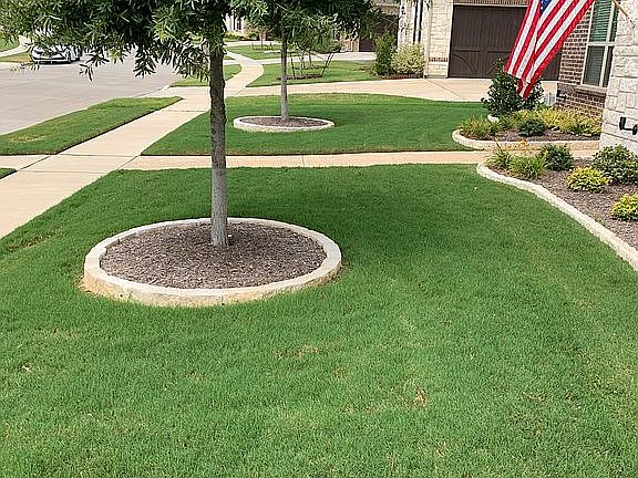 5th image of 7917 Shadow Wood Dr