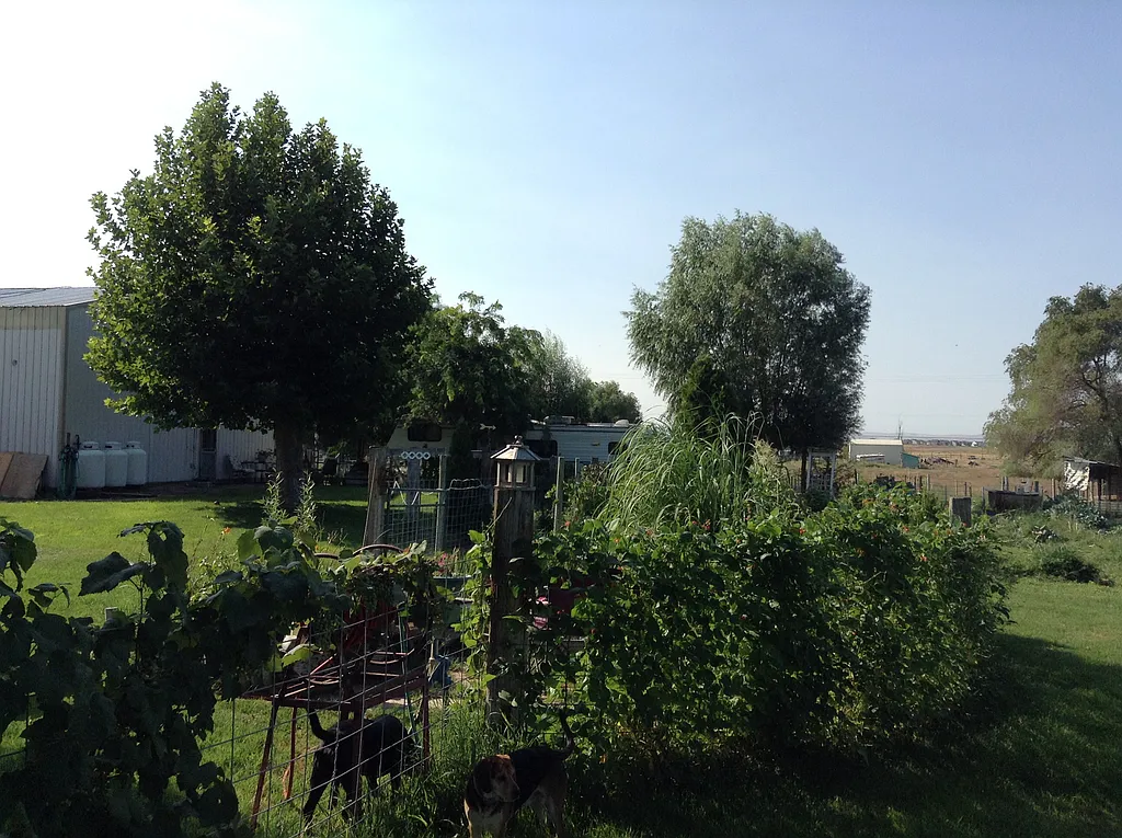Property photo 4