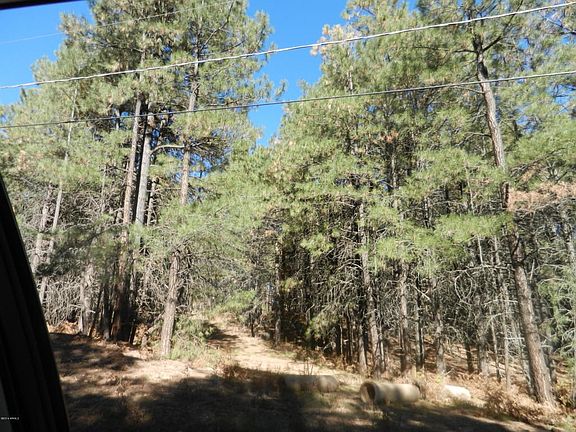 743 Trout Springs - DSCN1956[1]