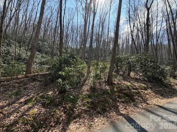 Coyote Hollow Rd #66, Waynesville, NC 28785