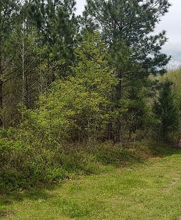 4th image of 440 Peaceful Creek Dr