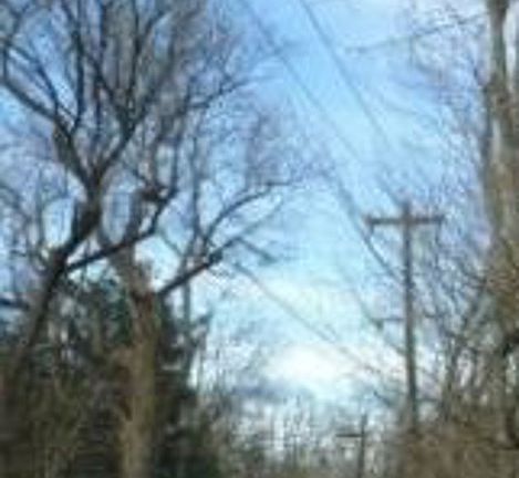 Exterior Neighborhood (street photo)