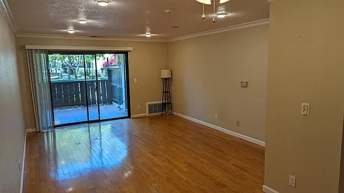 39865 Cedar Blvd #140 Photo 1