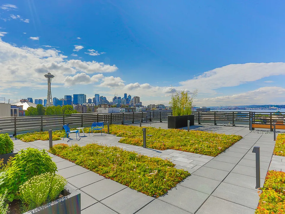 roofspaceneedle - Copy (2) - Copy