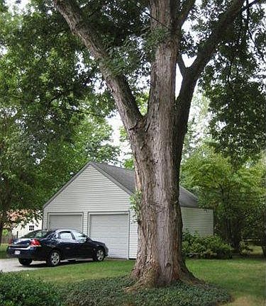 3rd image of 7362 Presley Ave