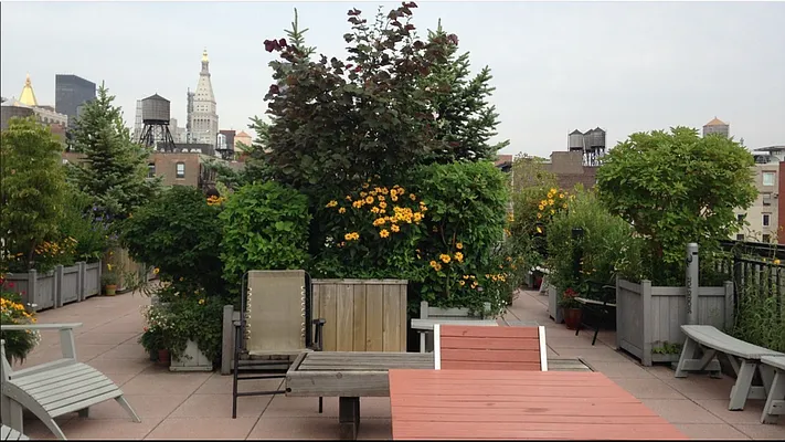 Rented by Douglas Elliman | media 6