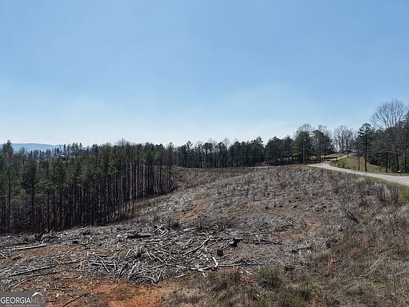5th image of 0 Angel Rd Parcel 7206