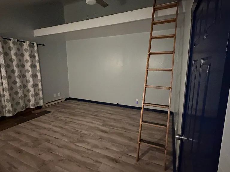 Back room, with walk-in closet + washer/dryer in closet