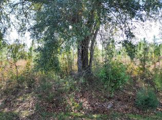 NW Azalea St LOT 17, Bristol, FL 32321