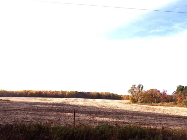 W10300 CAPITAL ROAD, Thorp, WI 54771