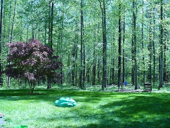 Huge Back Yard - Plenty of Room to Run and Very Private