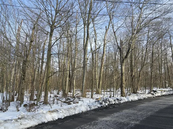 123 Brandywine Dr, Tobyhanna, PA 18466
