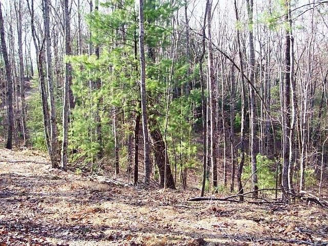 2nd image of 317 Old Furnace Rd