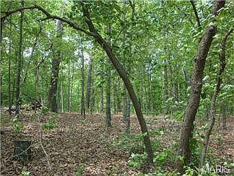 4th image of 0 Grand Oaks Est
