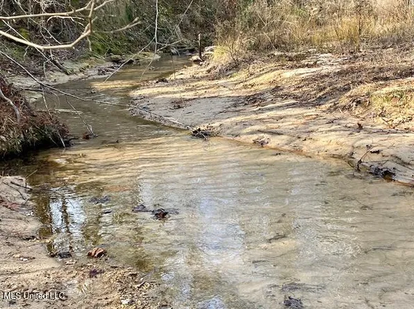 3373 Highway 24 W, Woodville, MS 39669