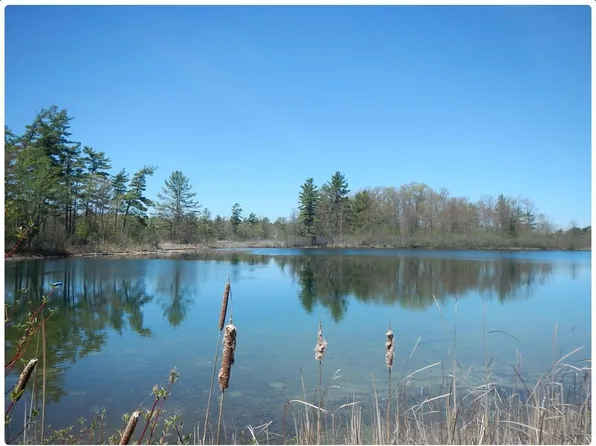 10345 Morgan Mills Ave NE, Greenville, MI 48838