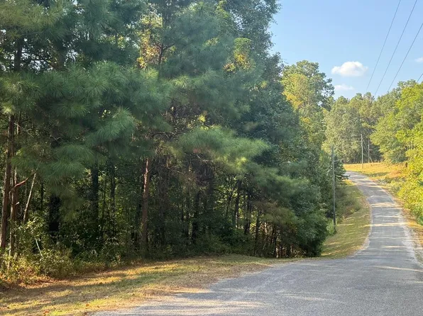 LOT 55 Riverview Lndg, Camden, AL 36726
